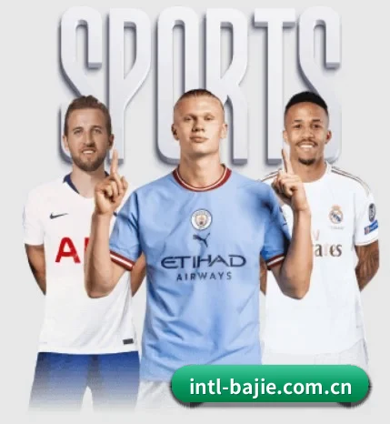 五大服务分区,信息按项目分类 | BAJIESPORTS